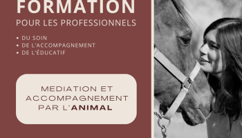 La formation longue en médiation animale