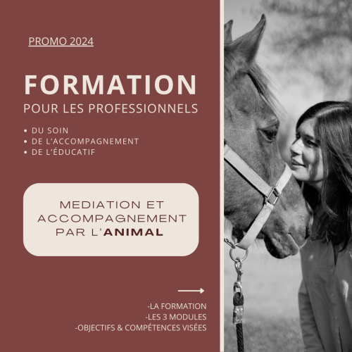 equitherapie lambesc-psychologue rognes-therapie par le cheval saint cannat-formation mediation animale pelissanne-gerer ses emotions aurons-mediation animale lambesc-accompagnement emotionnel lambesc-equitherapeute lambesc