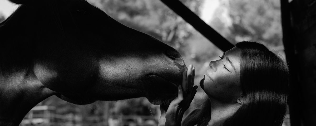 equitherapie lambesc-psychologue rognes-therapie par le cheval saint cannat-formation mediation animale pelissanne-gerer ses emotions aurons-mediation animale lambesc-accompagnement emotionnel lambesc-equitherapeute lambesc