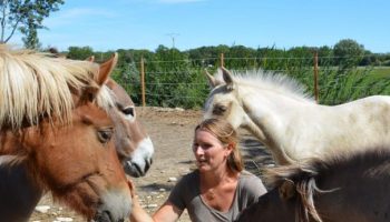Journée retraite saisons & émotions