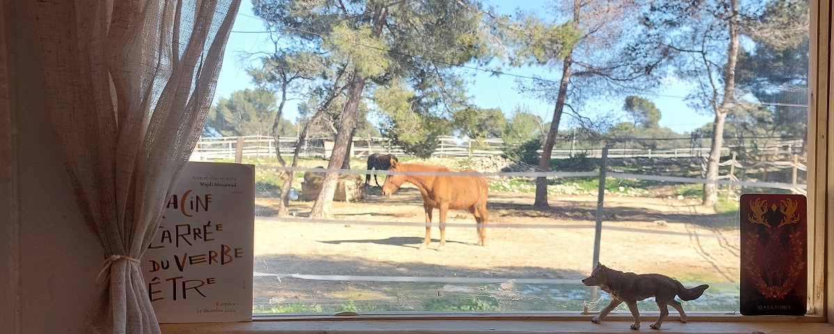 equitherapie lambesc-psychologue rognes-therapie par le cheval saint cannat-formation mediation animale pelissanne-gerer ses emotions aurons-mediation animale lambesc-accompagnement emotionnel lambesc-equitherapeute lambesc