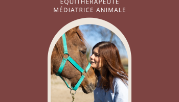 Se reconnecter à la joie : une journée pour rencontrer ses traumatismes en présence des chevaux