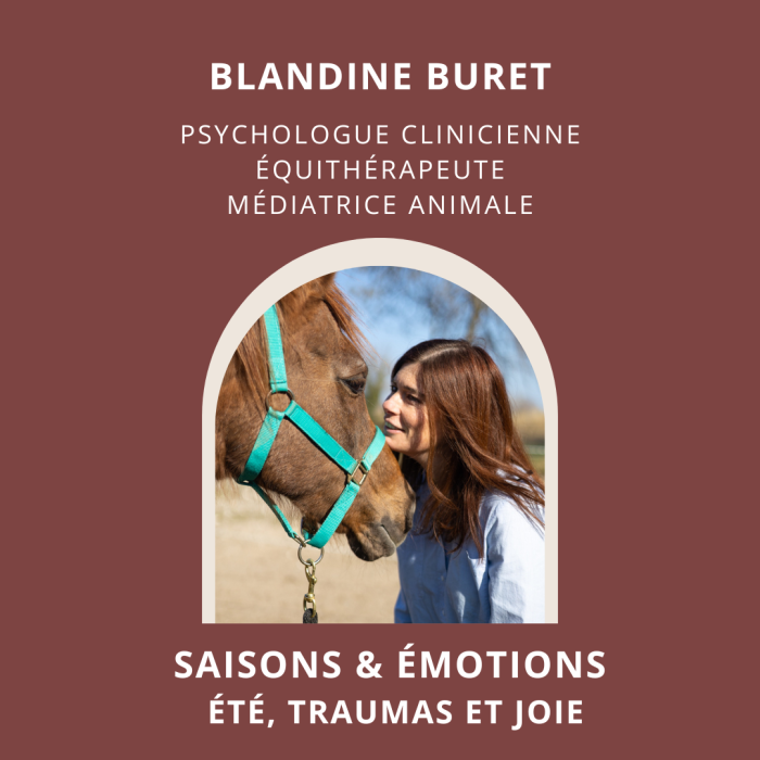 Se reconnecter à la joie : une journée pour rencontrer ses traumatismes en présence des chevaux