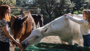 Évitez le stress de la rentrée