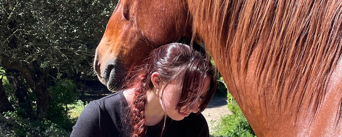 equitherapie lambesc-psychologue rognes-therapie par le cheval saint cannat-formation mediation animale pelissanne-gerer ses emotions aurons-mediation animale lambesc-accompagnement emotionnel lambesc-equitherapeute lambesc